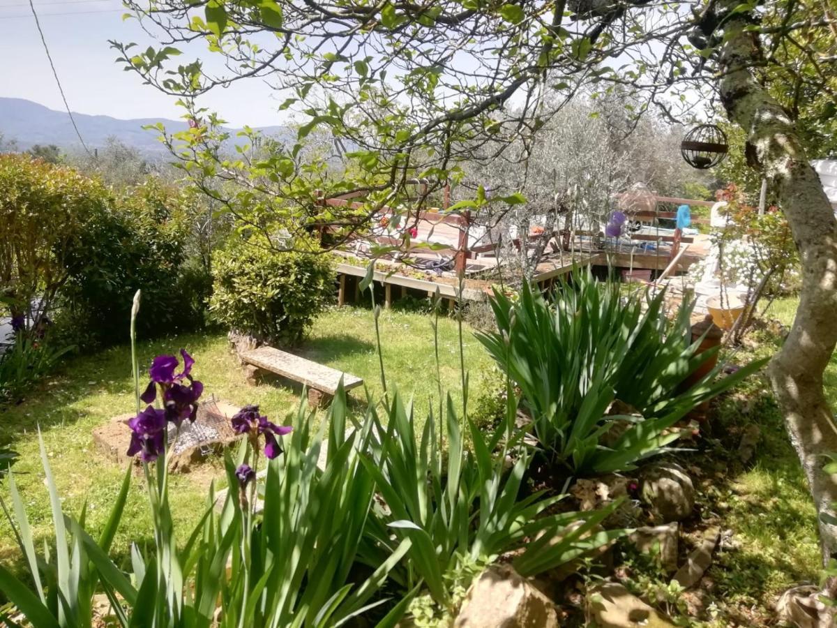 Casa Quercioli Βίλα Pulicciano Εξωτερικό φωτογραφία